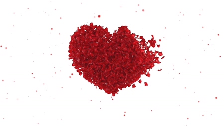 我们结婚啦甜蜜浪漫