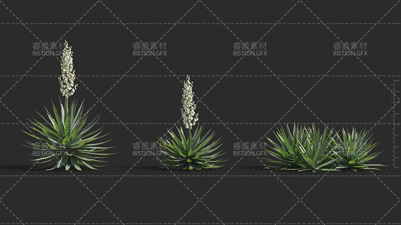 真实大小景观设计园林绿植植物带材质模型3D源文件VRay|Corona|Plant Models Vol. 75视频素材影视模板4