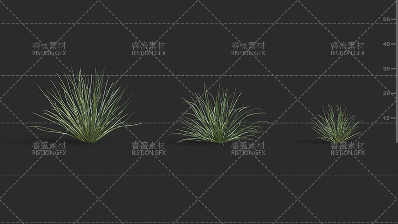 真实大小景观设计园林绿植植物带材质模型3D源文件VRay|Corona|Plant Models Vol. 75视频素材影视模板2