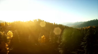 逆光飞扬航拍森林秋季落叶高清视频素材