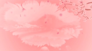 唯美樱花季节花飞舞内容晕开背景视频