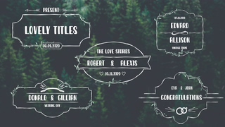 欧式花纹生长名字边框片头字幕