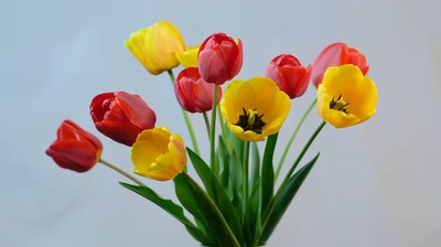 延时高速拍摄一组鲜花盛开开放的视频素材